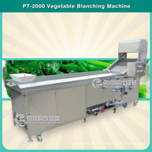 PT-2000 Vegetable and Fruit Blanching Machine